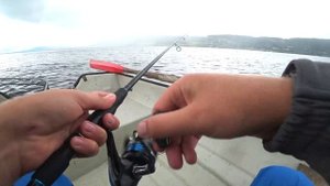 Скумбрия ПРЕТ ПАЧКАМИ на гирлянду! Ловля скумбрии в Норвегии