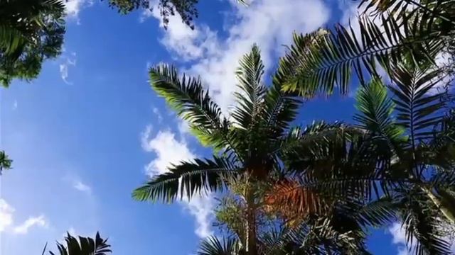 Самвел Адамян раздраконил мамку на правду про Натьку😲 Зина отчиталась🙄 Откуда деньги на такси