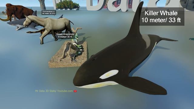 3D Size Comparison of Animals 2024: Bloop vs El Gran Maja 🐊🐆🐢🐫🐎🐝 The Bloop Monster 👾 смотреть онлайн