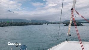 Экспедиция "Байкал-Аляска" на Аляске! Хомер - Ситка