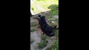 ЭЛЕКТРОМОНТАЖ В КАБЕЛЬ-КАНАЛЕ ПОД КЛЮЧ.8(953)194-71-60