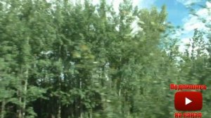 Поездка на поезде Брянск - Москва