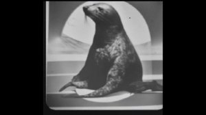 Мем Из 2029 года, вам еще не понять