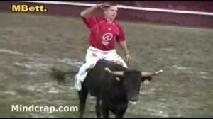 Игры с быками. Жесть и ржака!