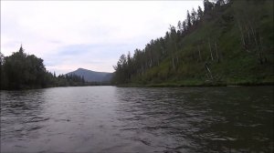 Сплав по Мане плюс рыбалка. От ст.Кой до Нарвы