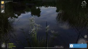 РР4 ОЗЕРО КОМАРИНОЕ ФАРМ НА ЛЕЩЕ / РУССКАЯ РЫБАЛКА 4 / RUSSIAN FISHING 4