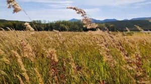 Залив Одян - полуостров Кони. Охотское море. Морская прогулка. 2021