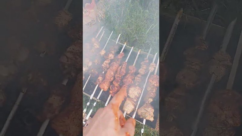 И снова шашлычок!