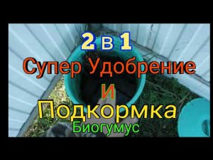 ЭКО подкормка клубники для вашего огорода. Биогумус.