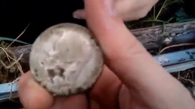 Клад царского серебра Урочище увал. Возле Малого Ута