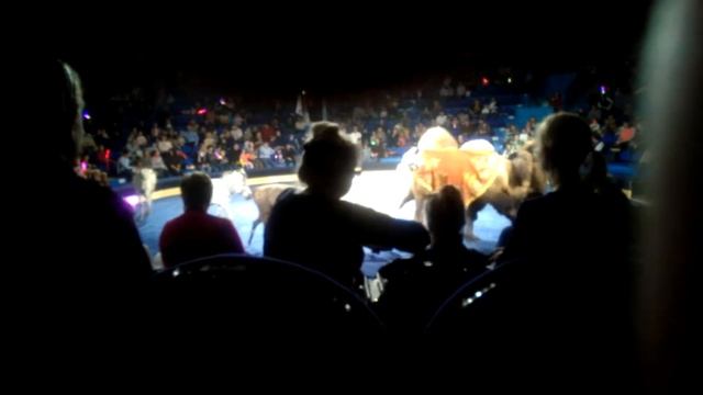 М211 - в цирке - Москва - день 10 - видео 27 - Немец снова офигевает в России смотреть онлайн