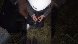 как сделать укол курочке самостоятельно