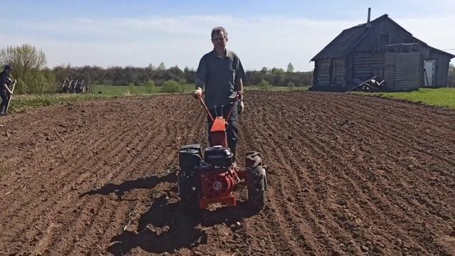 Мотоблок МТЗ Беларус с бороной-культиватором 30.04.2023 готовим участок к посадке картофеля! смотреть онлайн