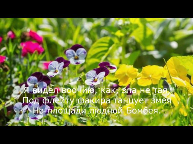 Расул Гамзатов - Захочет любовь, и в клубящейся мгле смотреть онлайн
