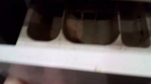 горение ошибка 4