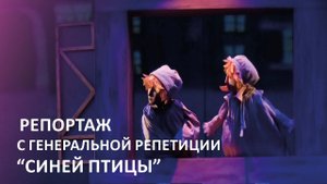 Генеральная репетиция "Синей птицы"