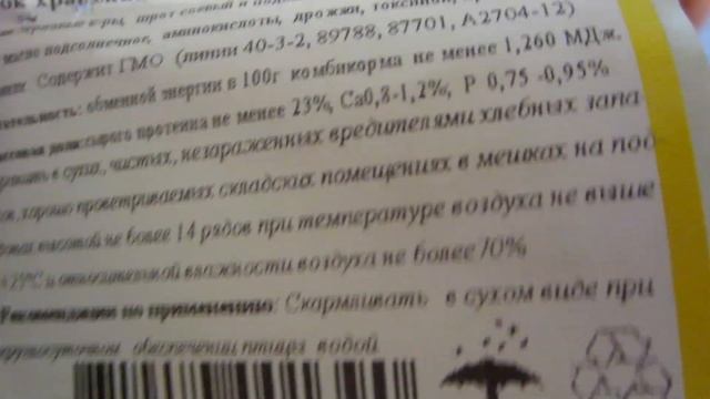 ВЫРАЩИВАЮ БРОЙЛЕРОВ В КВАРТИРЕ