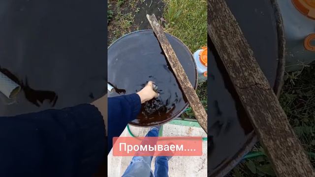 Нужно закрывать фильтр на капельном поливе от ультрафиолета. #diy #дача