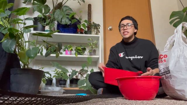 Let’s Do Plant Chores Together! ♡ Spring Plant Maintenance смотреть онлайн