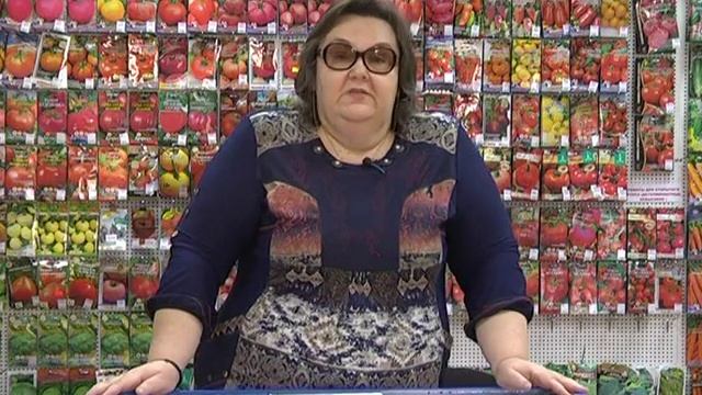 Необычные, экзотические и редкие сорта томатов. Лидеры продаж 2016 года!