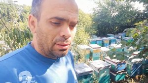 Брошенная пасека, 40дней без пчеловода.