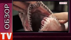 ПУШКИНО  Морское Чудовище  Акула Гоблин