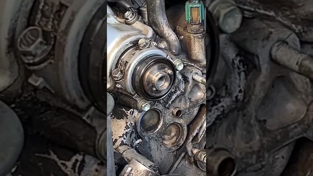 1uz-fe LS400 Cam Seal Removal & Install Lexus V8 non-vvti смотреть онлайн