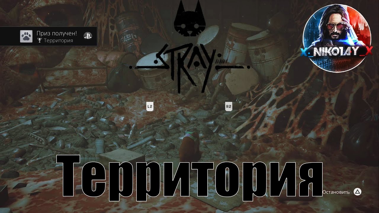 Stray главы.