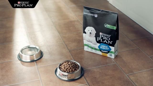 ProPlan с Optistar смотреть онлайн