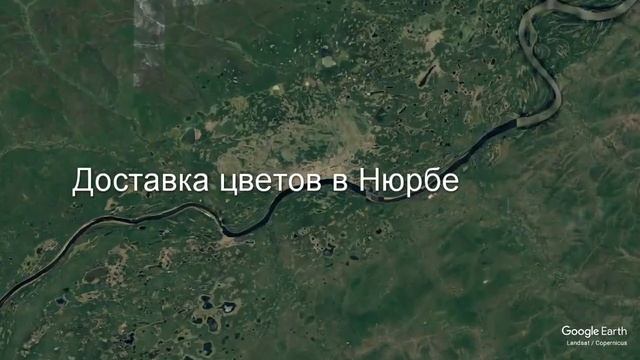 Доставка цветов в Нюрбе - Заказ букетов от компании Скорая подарочная помощь смотреть онлайн