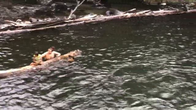 ACG Community Day at Lee Falls - The Culture PDX смотреть онлайн