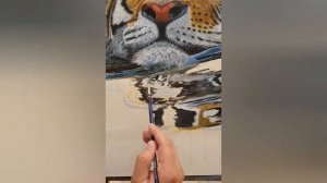 Как нарисовать тигра, амурский тигр, часть 2