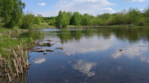 Челябинск. Сосновый бор.Парк Гагарина. 23.05.2024г. Сергей Вольный. В деревню Берегите природу люди!