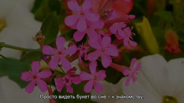 К чему снится букет цветов? Толкование сна и его значение по сонникам Фрейда и Ванги