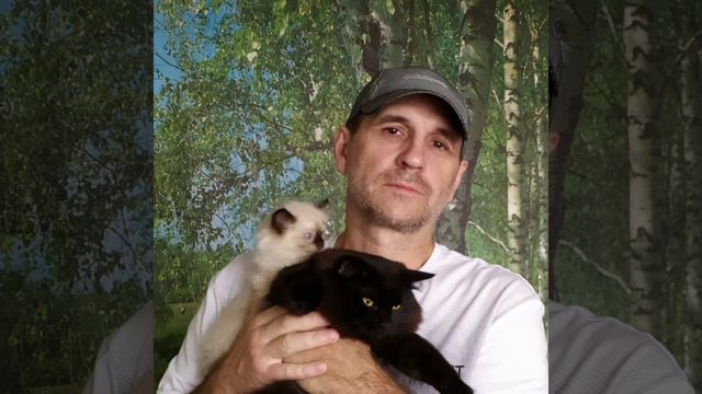 А.Новиков.Вези меня извозчик . Кавер .Олег.Горняков. смотреть онлайн