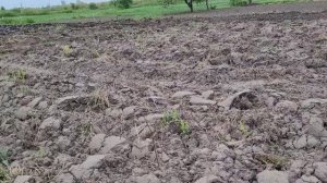Готовим 1 га, земли для посадки клубники!