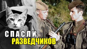 Разведчиков спасли те, от кого не ждали... Военные Истории