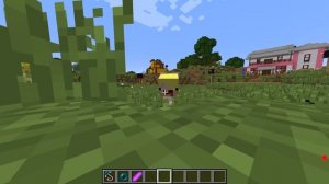 ?Я И ЛЕСКА СТАЛИ ЭНДЕР КОТЯТАМИ И ЗАТРОЛЛИЛИ НУБИКА В МАЙНКРАФТ! ШЕДИ MINECRAFT