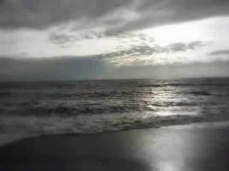 Russell Simins-Comfortable Place.flv смотреть онлайн