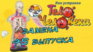 Как устроено тело человека | DeAgostini | Замена 45 выпуска