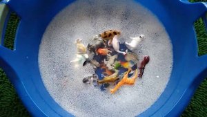 Throwing toys into the water Бросаем игрушки в воду