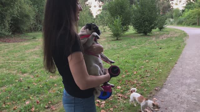Мопс Лили на чилле, на расслабоне