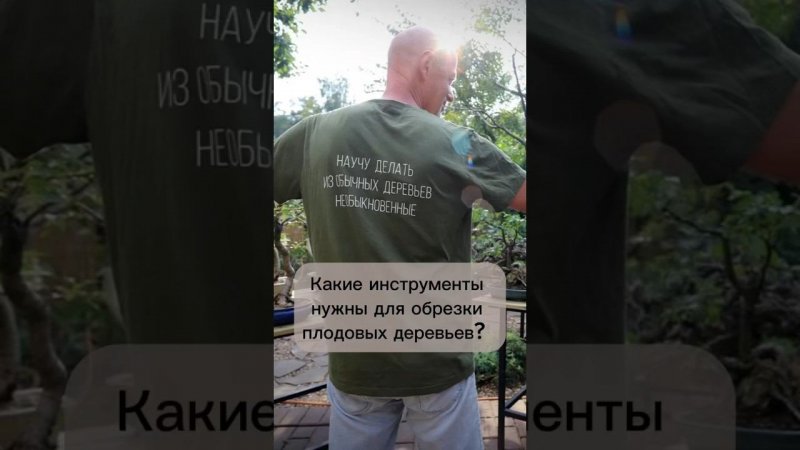 Какие инструменты нужны для обрезки плодовых деревьев? #бонсай #bonsai #ниваки #сад #плодовыедеревья