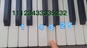 Звери ярко жёлтые очки на пианино