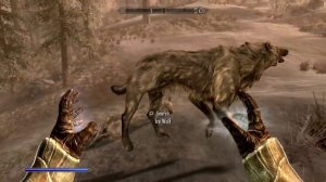 Skyrim GLITCHED wolf spell