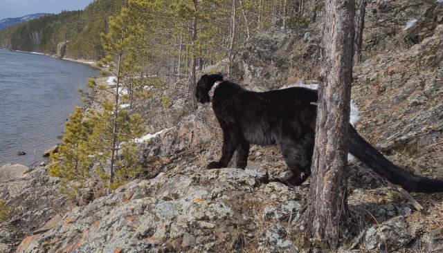 Луна и венза видео Луна и венза видео