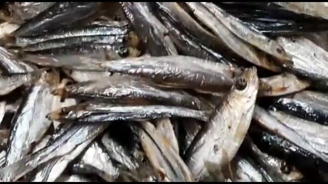 Каспийская КИЛЬКА вяленая смотреть онлайн