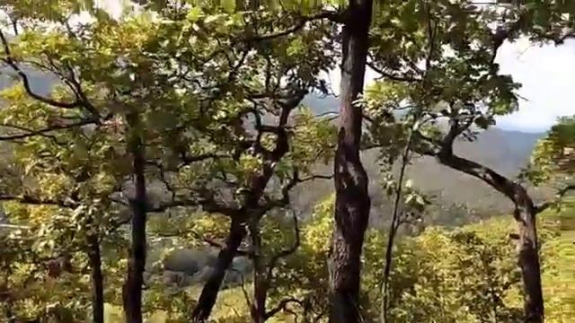 Апшеронск Травалев Белая Круча и гора Полба