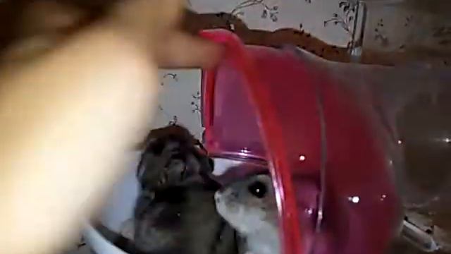 Кто чем занят? смотреть онлайн