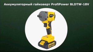 Аккумуляторный гайковерт ProfiPower BLDTW-18V